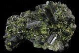 Lustrous Epidote Crystal Cluster - Pakistan #68249-2